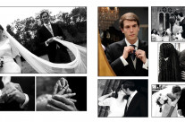 Bodas